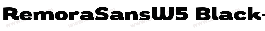 RemoraSansW5 Black字体转换 RemoraSansW5 Black字体转换